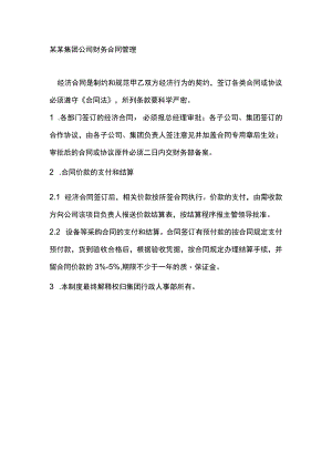 某某集团公司财务合同管理.docx