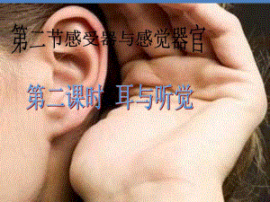 第2节感受器和感觉器官第2课时耳和听觉.ppt