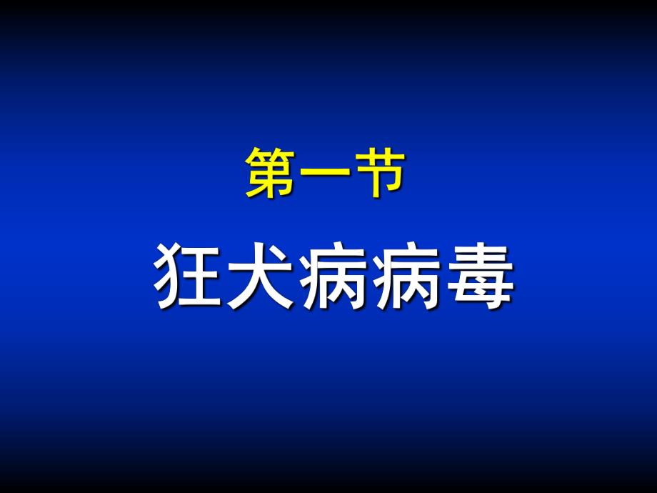 第34章其他病毒1.ppt_第2页