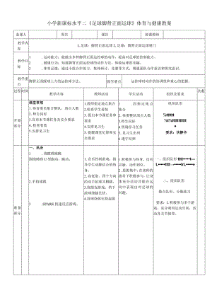 小学新课标水平二《足球脚背正面运球》体育与健康教案.docx
