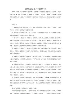 企划总监工作职责核心内容.docx