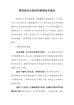 暴雨前后水稻田间管理技术建议.docx