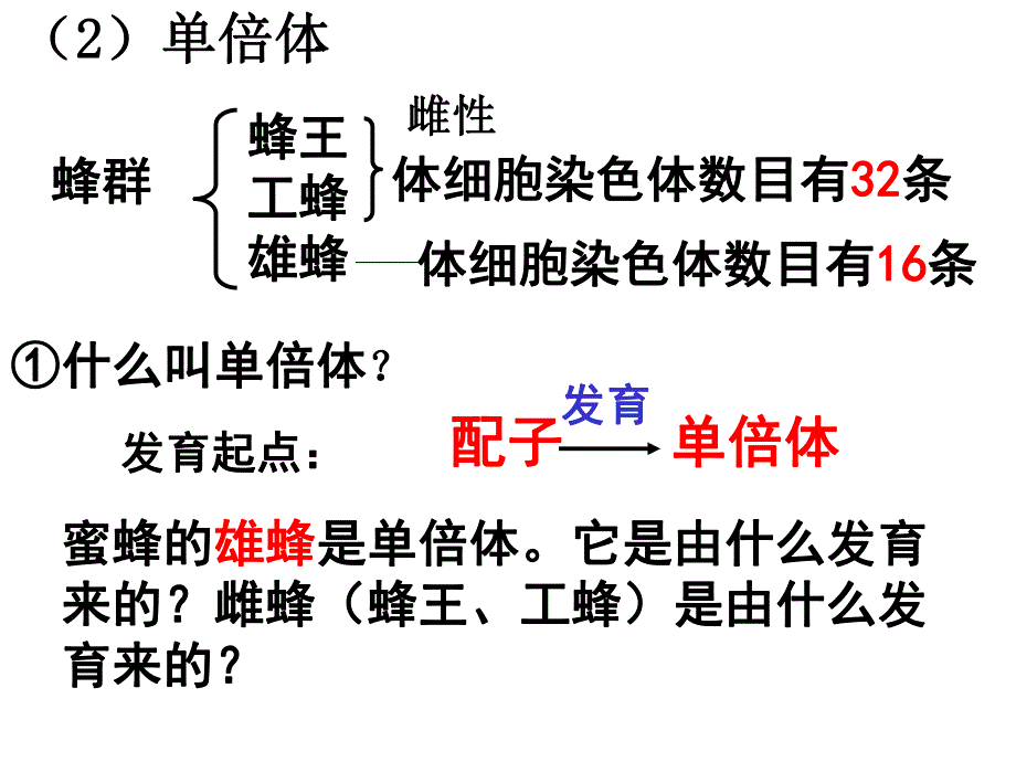 第2节染色体3.ppt_第2页