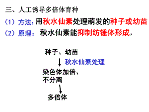 第2节染色体3.ppt