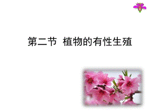 第2节植物的有性生殖讲授课件.ppt