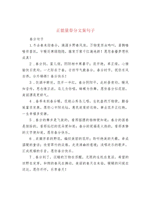 正能量春分文案句子.docx