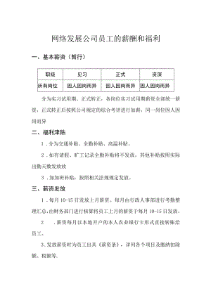 网络发展公司员工的薪酬和福利.docx
