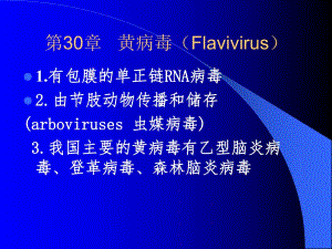 第30章黄病毒Flavivirus名师编辑PPT课件.ppt