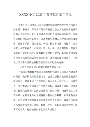 小学2023年劳动教育工作情况.docx