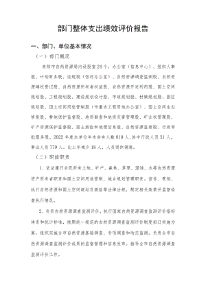 部门整体支出绩效评价报告.docx