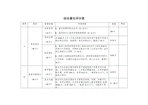 综合量化评分表.docx
