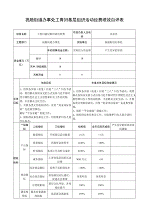 祝融街道办事处工青妇基层组织活动经费绩效自评表.docx