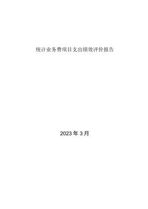 统计业务费项目支出绩效评价报告.docx