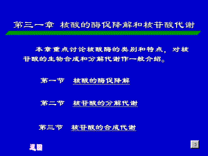第31章核酸的酶促降解和核苷酸代谢.ppt