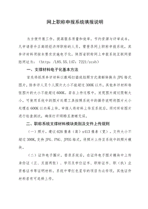 网上职称申报系统填报说明.docx