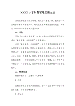 小学财务管理实施办法.docx