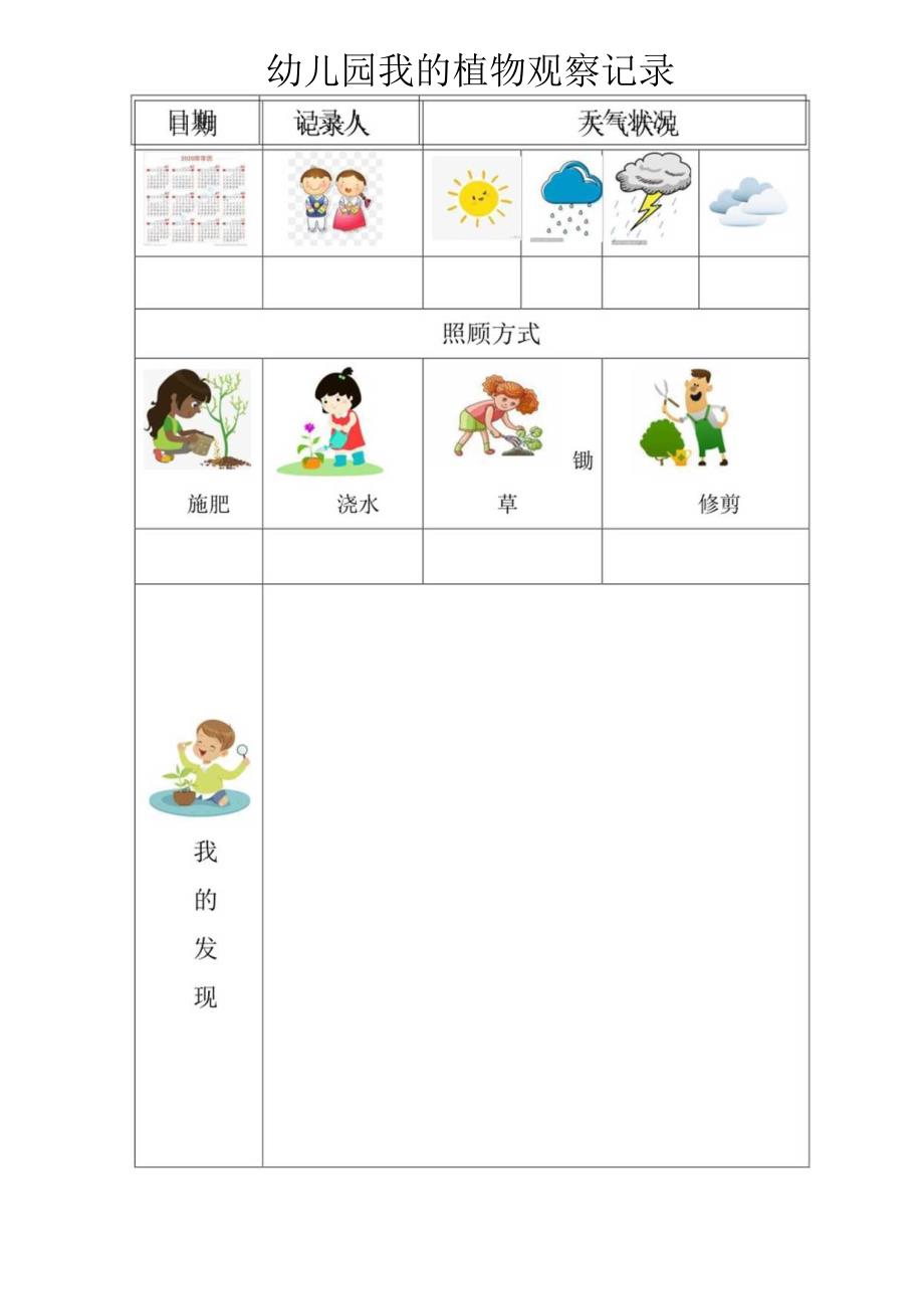 幼儿园植物观察记录.docx_第1页