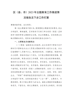 区（县、市）2023年主题教育工作推进情况报告及下步工作打算.docx