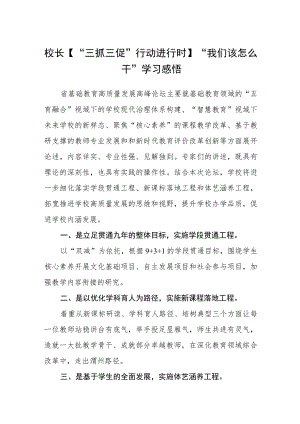（共三篇）校长【“三抓三促”行动进行时】“我们该怎么干”学习感悟.docx