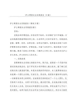 护士寒假社会实践报告（3篇）.docx