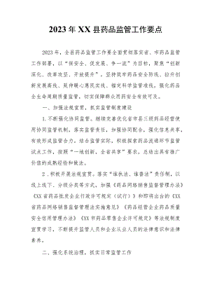 2023年XX县药品监管工作要点.docx