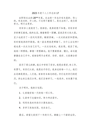 2023年度个人工作总结17.docx