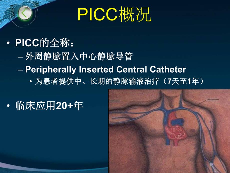 PICC相关的血管解剖及穿刺部位的评估(护理).ppt.ppt_第2页