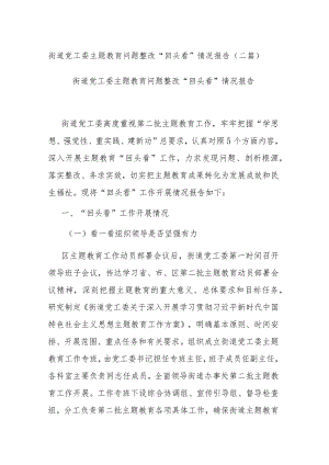 街道党工委主题教育问题整改“回头看”情况报告(二篇).docx