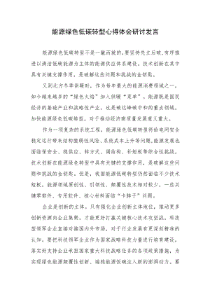 能源绿色低碳转型心得体会研讨发言.docx