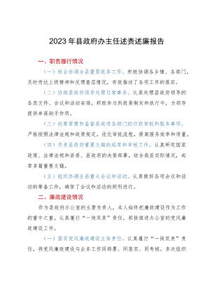 2023年县政府办主任述责述廉报告.docx
