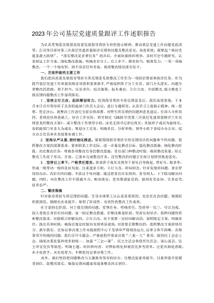2023年公司基层党建质量跟评工作述职报告.docx
