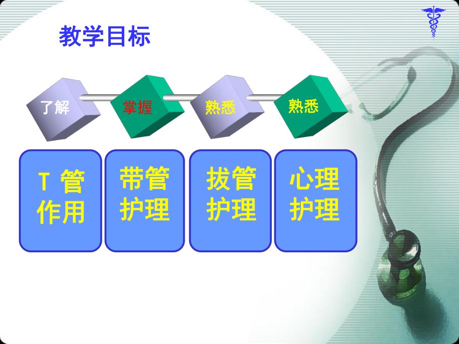 t管引流护理..ppt_第2页