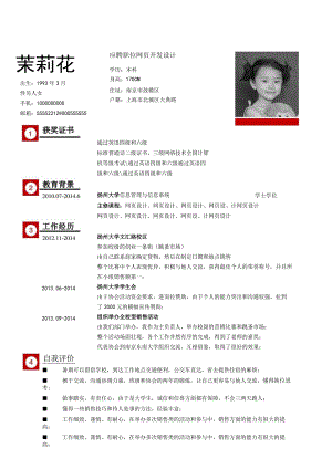 网页开发设计简历范文.docx