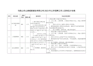 马鞍山市山湖城新建设有限公司2023年公开招聘工作人员岗位计划表.docx