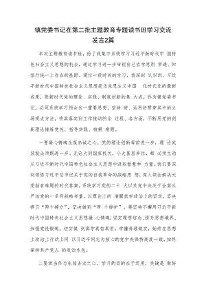 镇党委书记在第二批主题教育专题读书班学习交流发言2篇.docx