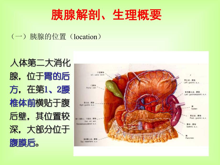 [优质文档]急性胰腺炎的护理.ppt_第3页