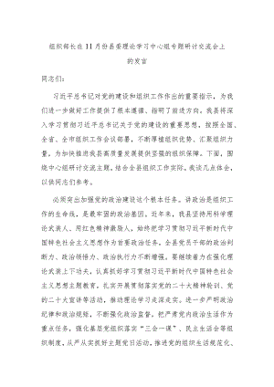 组织部长在11月份县委理论学习中心组专题研讨交流会上的发言.docx