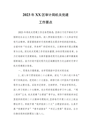 2023年XX区审计局机关党建工作要点.docx