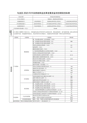 马龙区2023年中央财政林业改革发展资金项目绩效目标表.docx