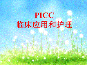 picc护理查房[精品].ppt