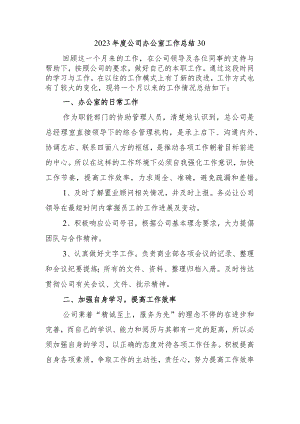 2023年度公司办公室工作总结30.docx