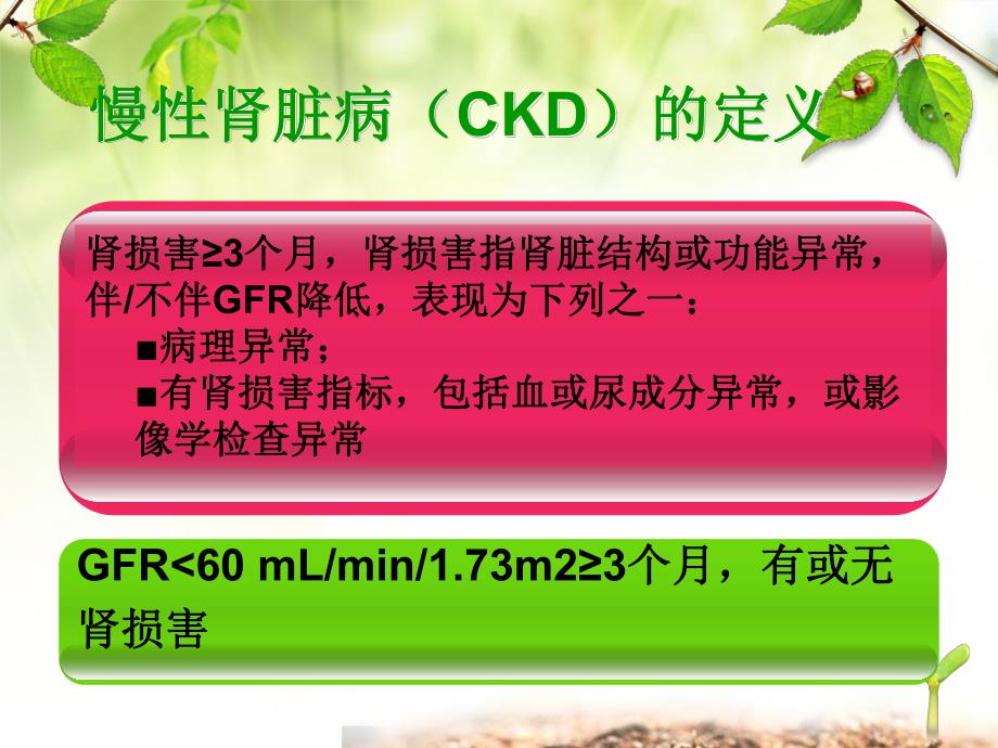 护理查房慢性肾脏疾病.ppt_第3页