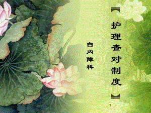 护理查对制度ppt.ppt