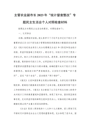 主管农业副市长2023年“统计督查整改”专题民主生活会个人对照检查材料.docx