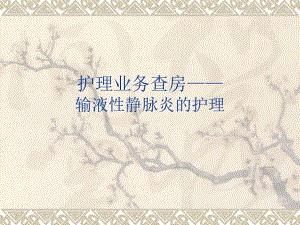 护理查房输液性静脉炎的护理预防.ppt