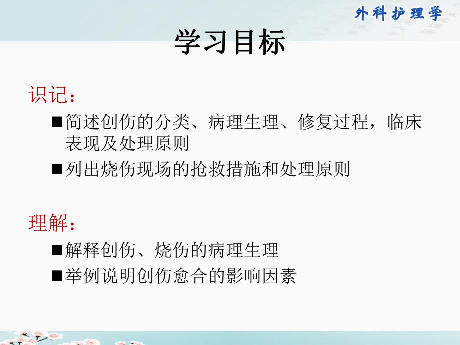 第九章损伤病人的护理.ppt_第2页