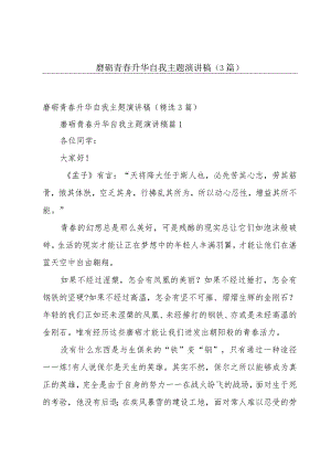 磨砺青春升华自我主题演讲稿（3篇）.docx