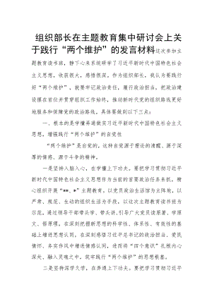 组织部长在主题教育集中研讨会上关于践行“两个维护”的发言材料.docx
