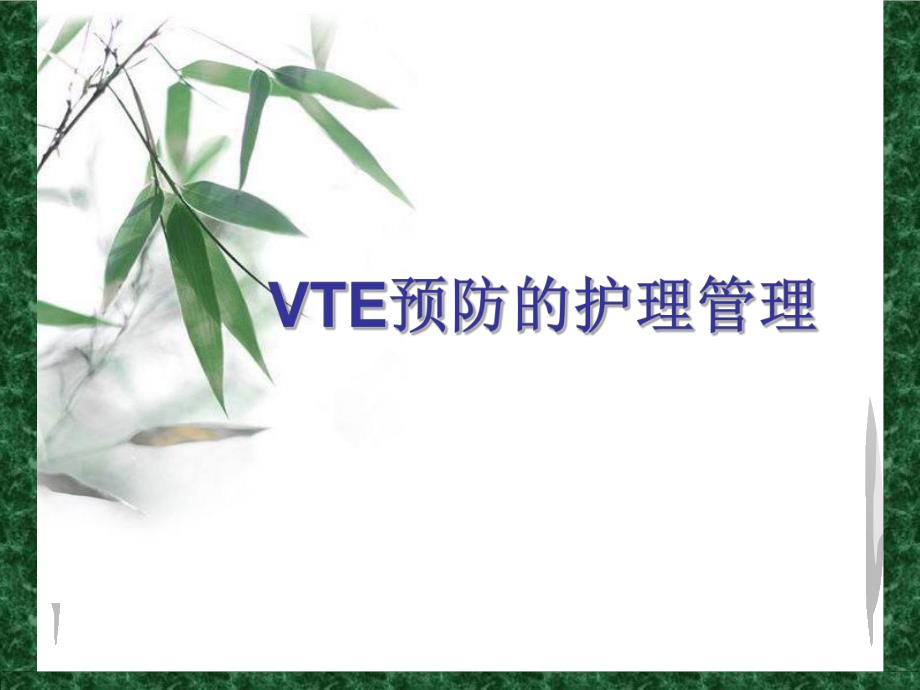 VTE预防护理管理.ppt_第1页