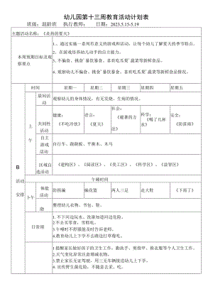 幼儿园第十三周教育活动计划表.docx